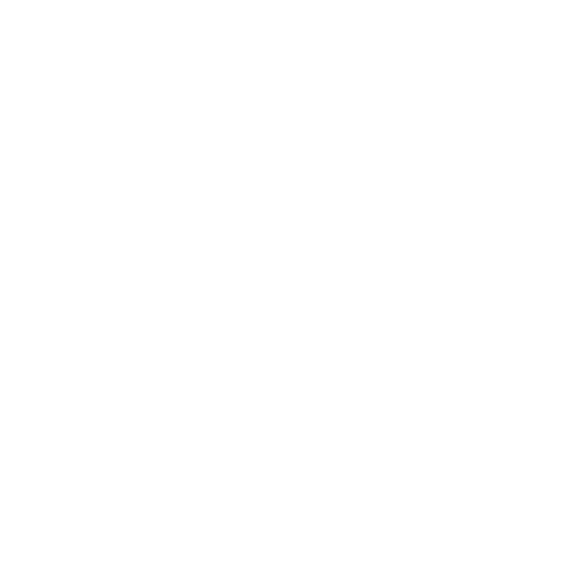 Ravvis Media